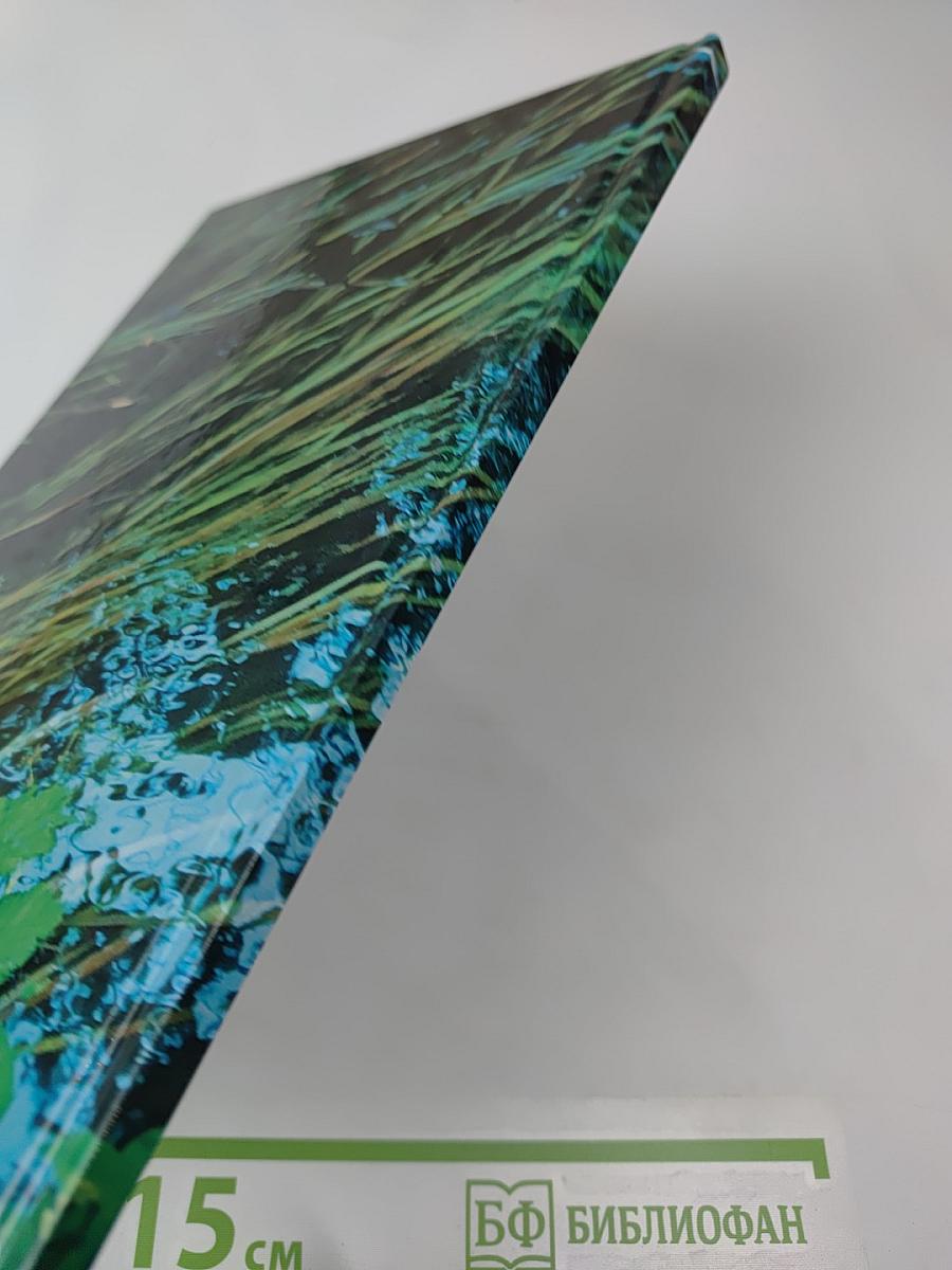 Живи, родник, живи