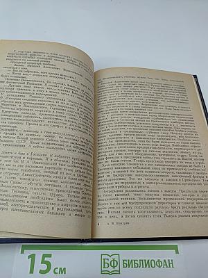 Крылья Победы