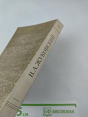 Баллады. Наль и Дамаянти. Рустем и Зораб. Дневники. Письма. Воспоминания современников