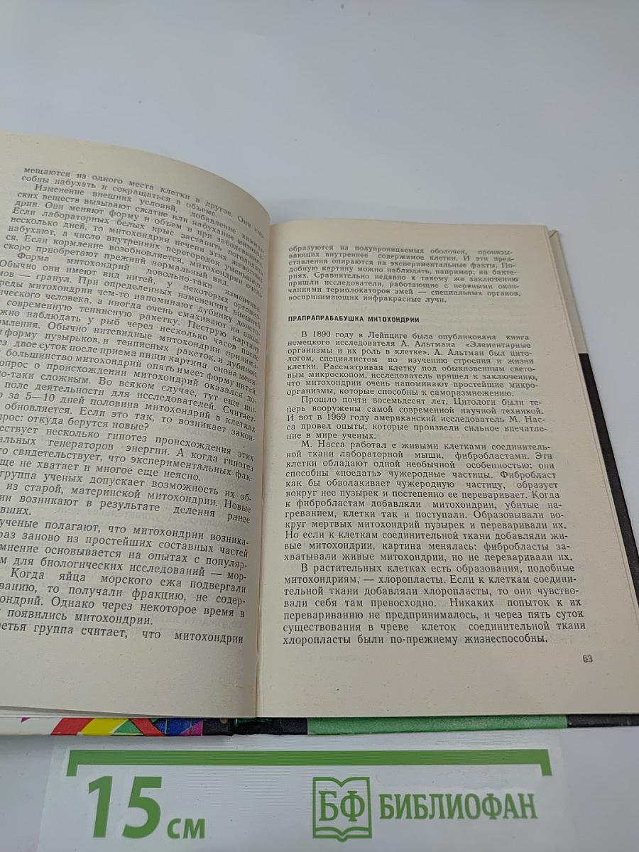 Закономерные чудеса