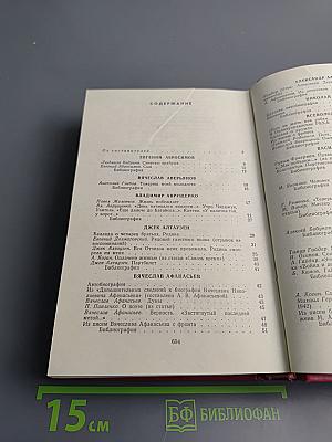 Строка, оборванная пулей