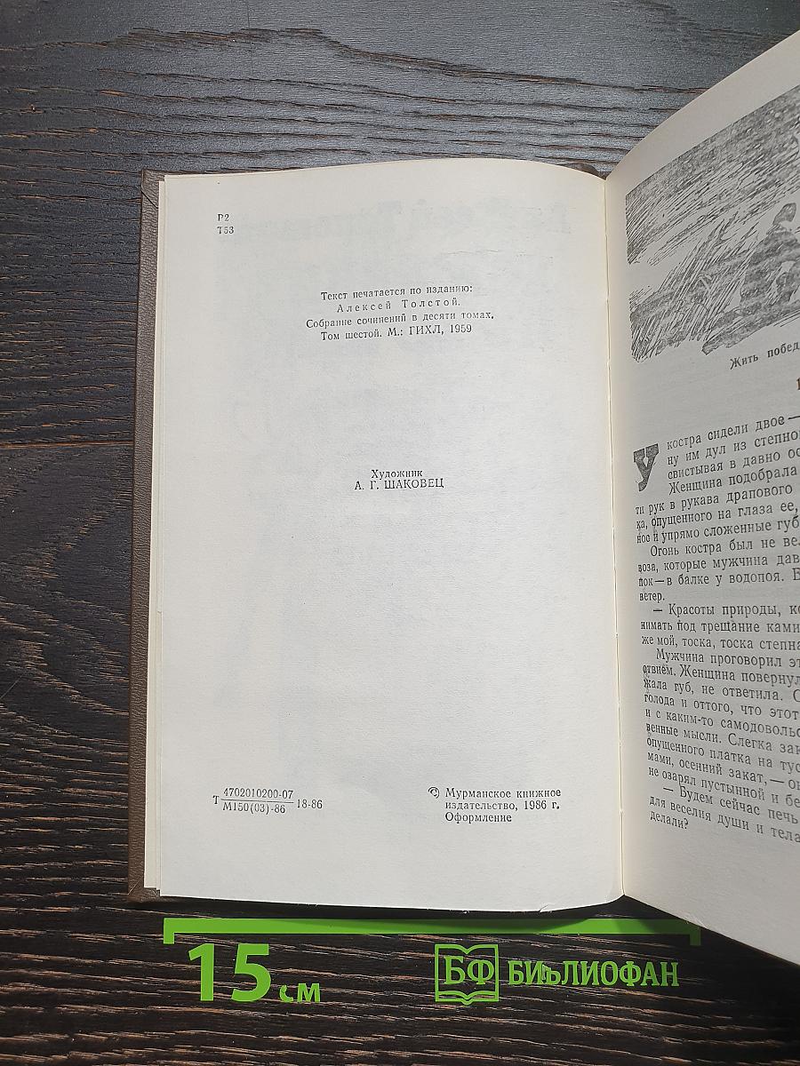 Хождение по мукам. Книга третья. Хмурое утро