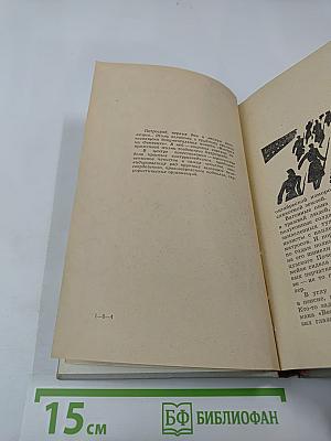 Выстрел на Фонтанке