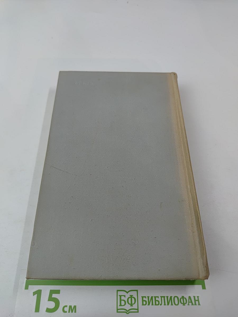 Выстрел на Фонтанке