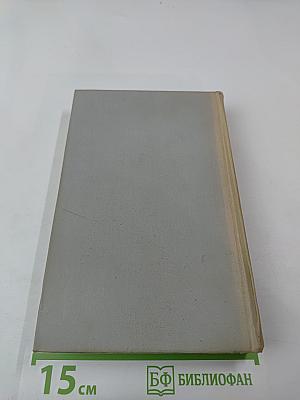 Выстрел на Фонтанке