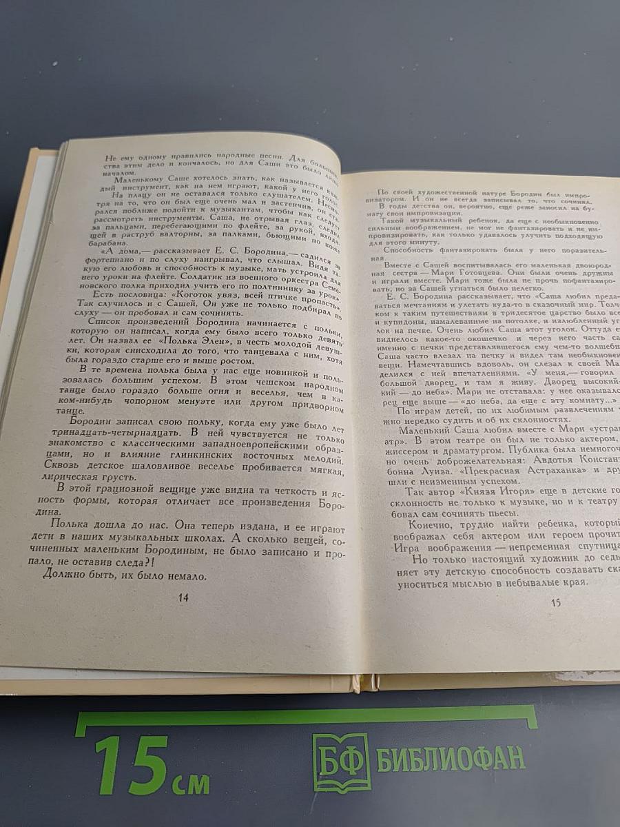 Александр Порфирьевич Бородин. Письма