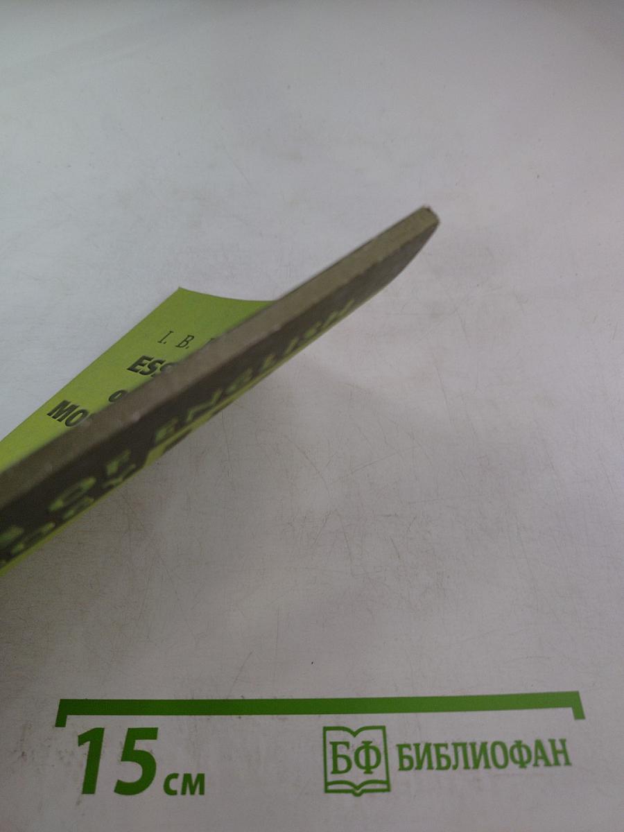 Основы английской морфологии