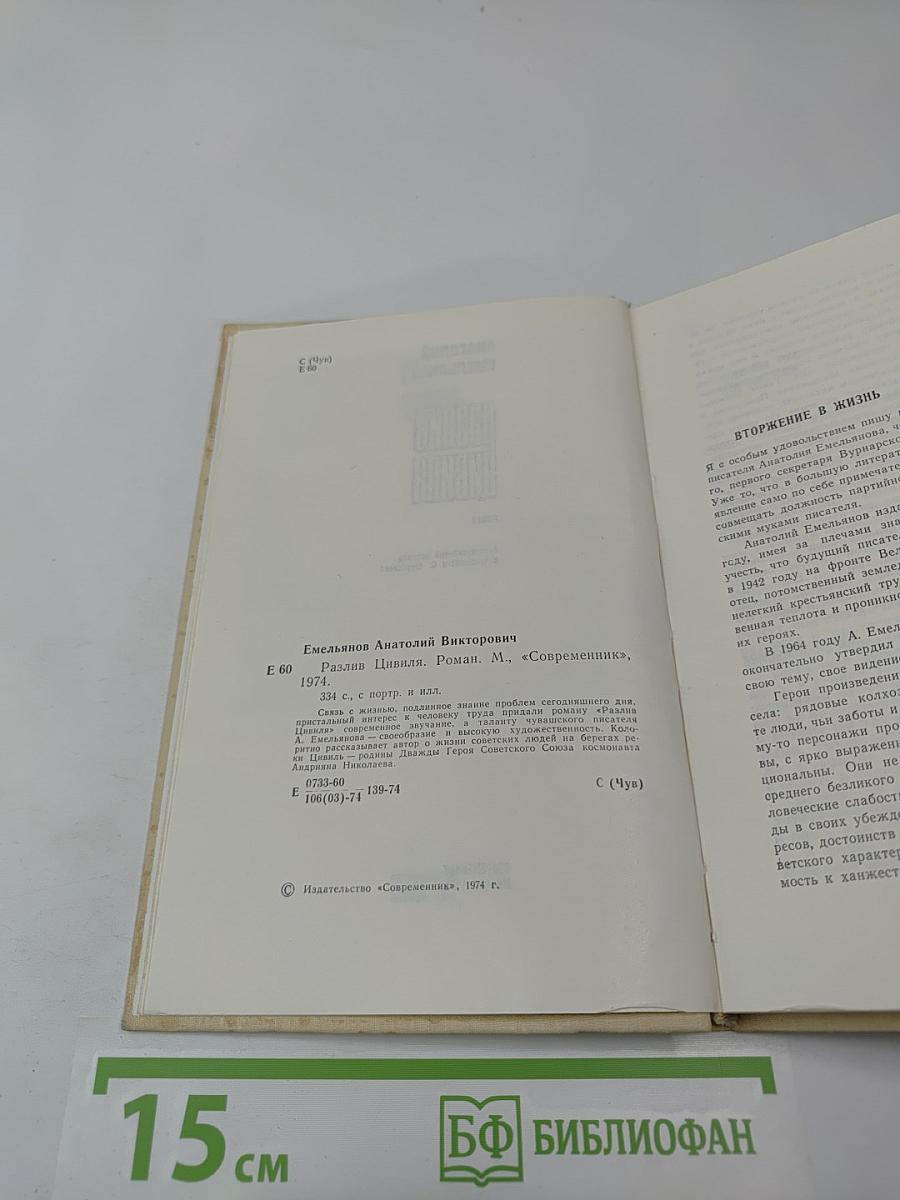 Разлив Цвиля