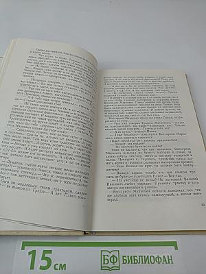 Разлив Цвиля