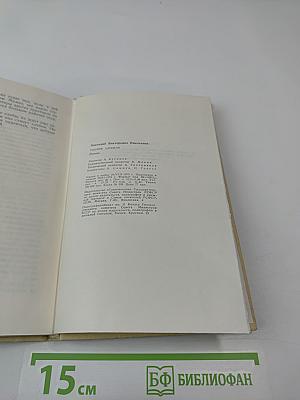 Разлив Цвиля