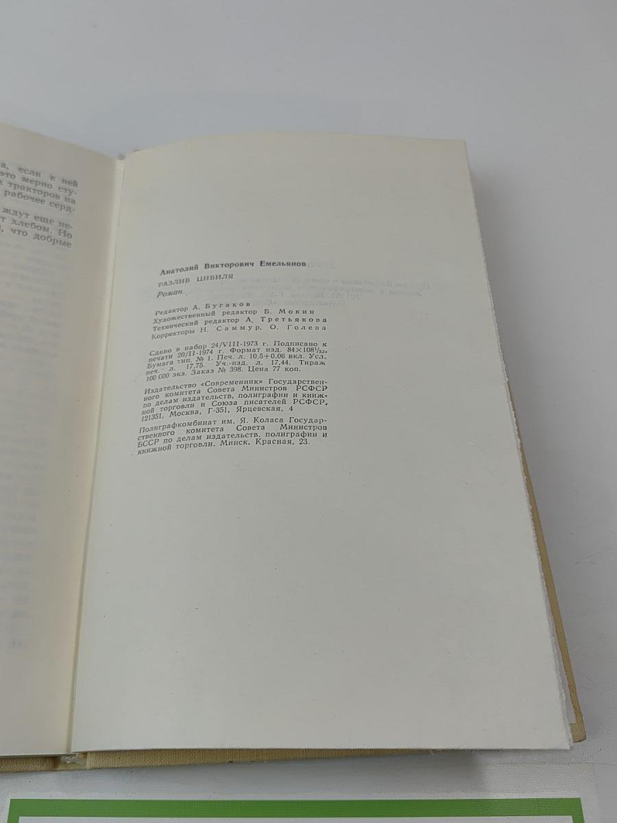 Разлив Цвиля