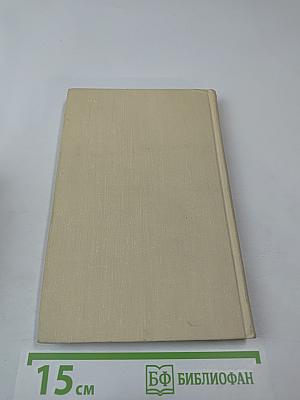 Разлив Цвиля