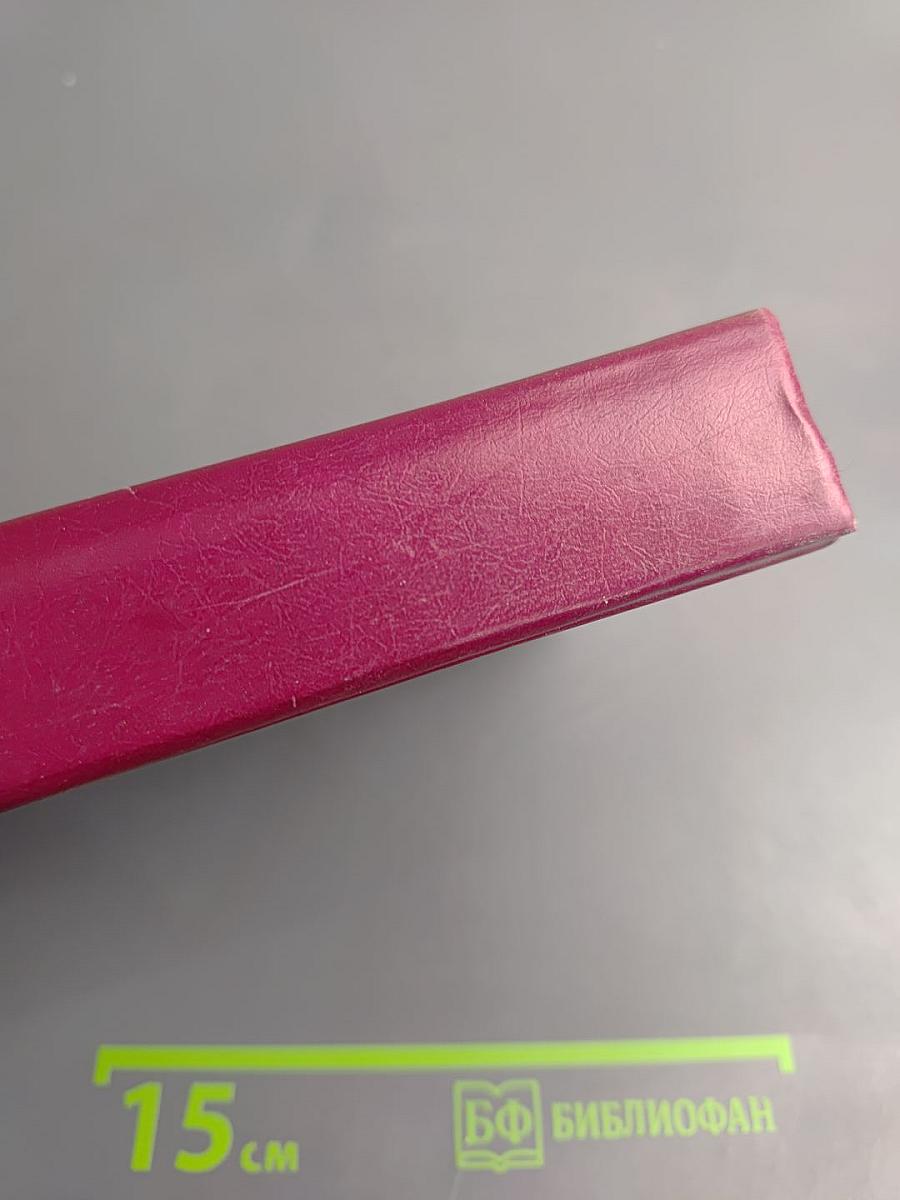 Историки спорят: Тринадцать бесед