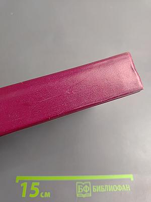 Историки спорят: Тринадцать бесед