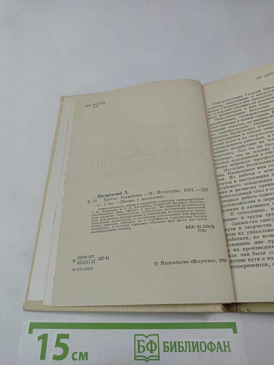 Братья Васильевы