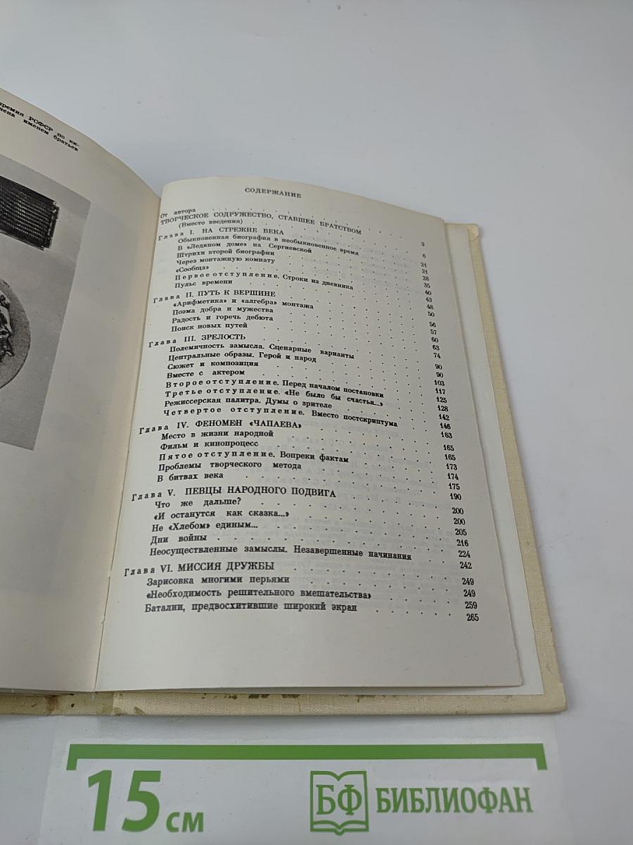 Братья Васильевы