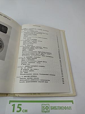 Братья Васильевы