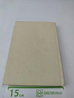 Братья Васильевы