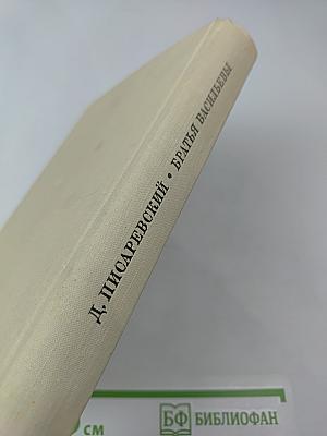 Братья Васильевы