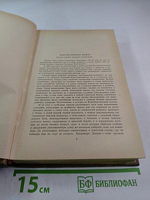 Избранные произведения в двух томах. Том первый: Рассвет. Встанут новые бойцы