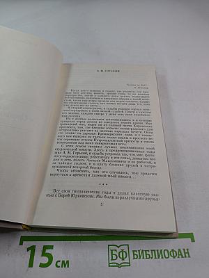 Избранное в двух томах. Том 2. Проза