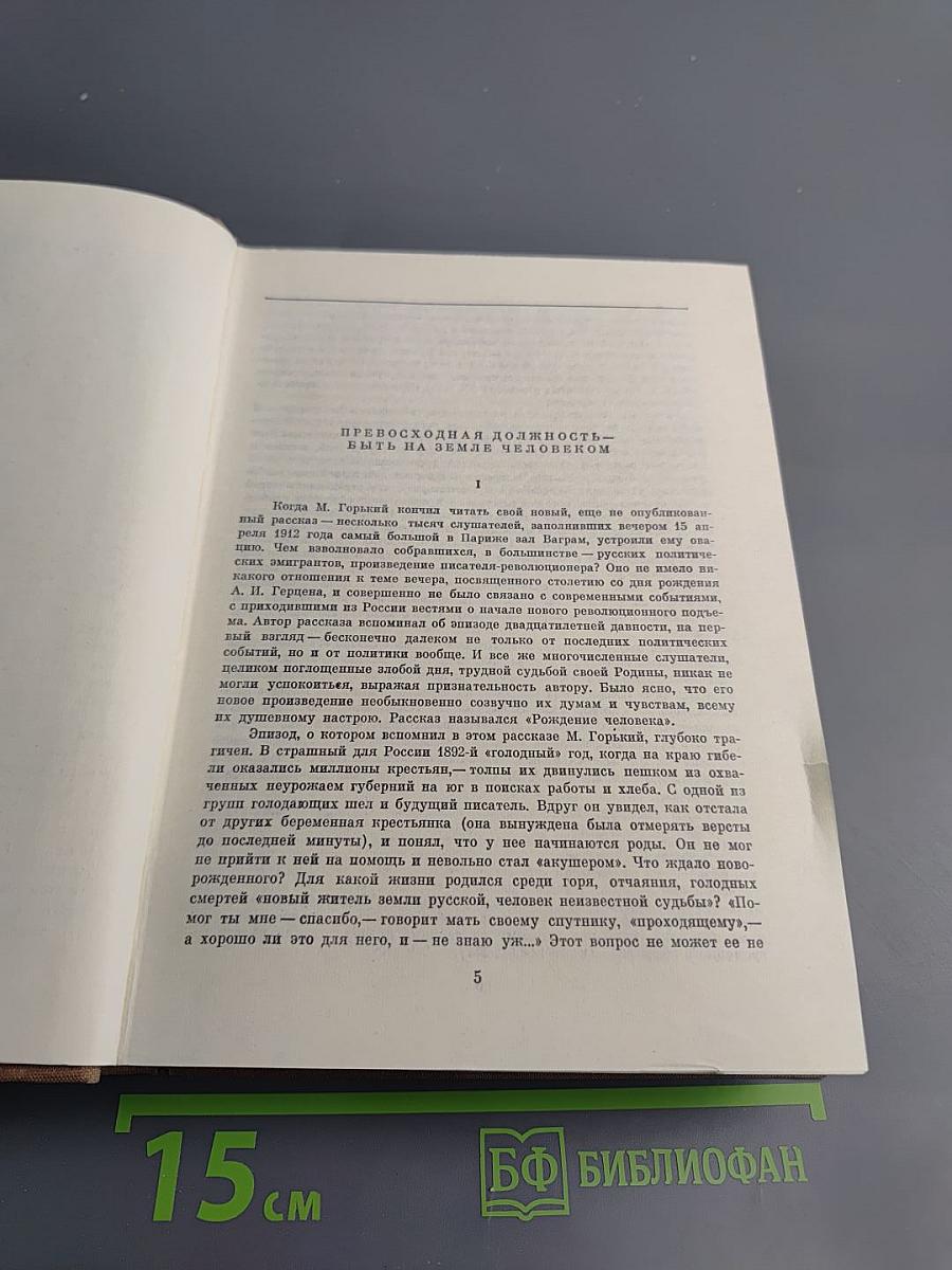 По Руси. Дело Артамоновых