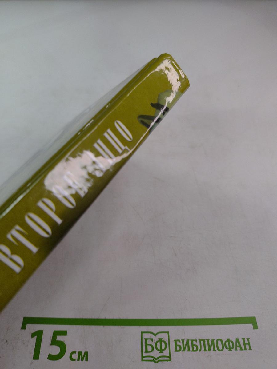 Второе лицо