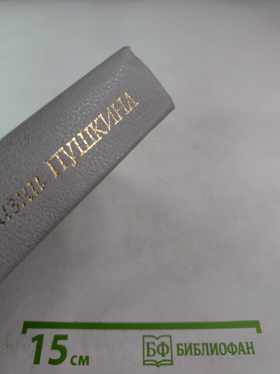 Последний год жизни Пушкина