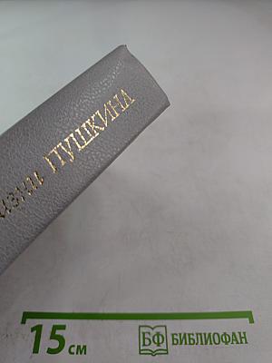 Последний год жизни Пушкина