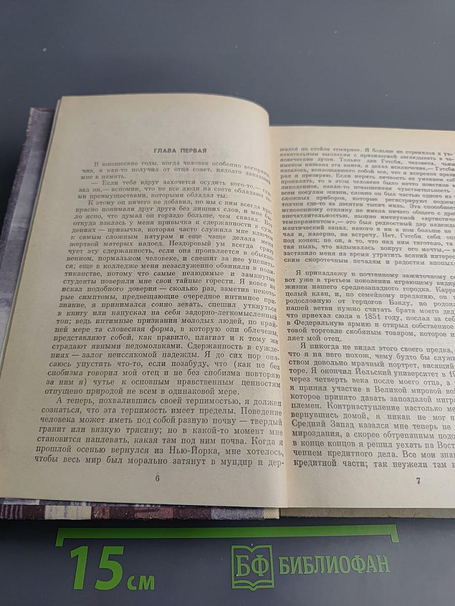 Романы. Рассказы: Великий Гэтсби. Ночь нежна