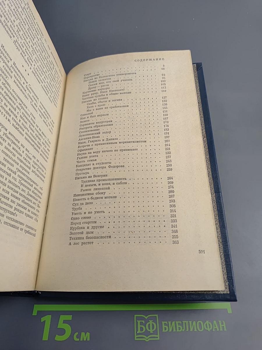 Детали и главное. Очерки