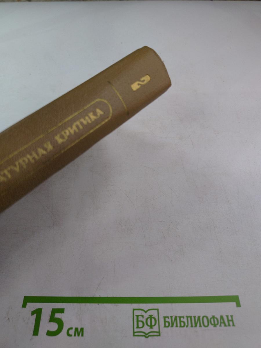 Литературная критика. Том второй. Статьи 1864-1865 гг.