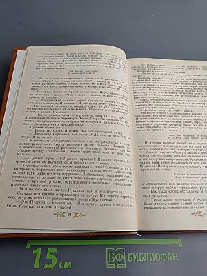 Пушкин в Михайловском