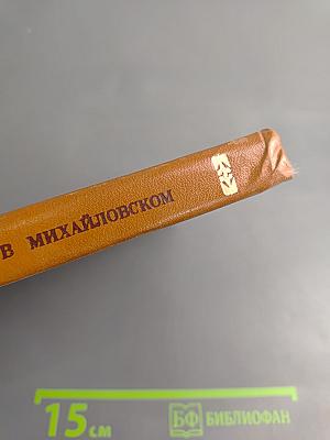 Пушкин в Михайловском