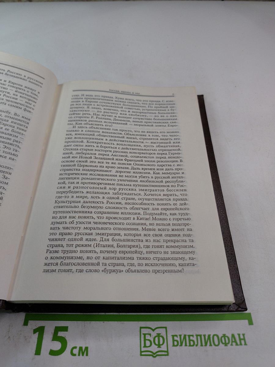 Судьба и грехи России. 2 том