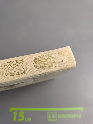 Капитан гренадерской роты