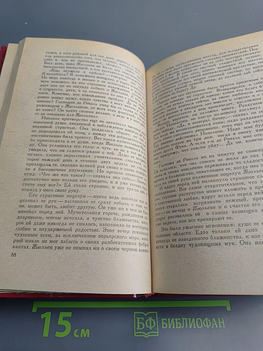 Красное и черное. Хроника XIX века