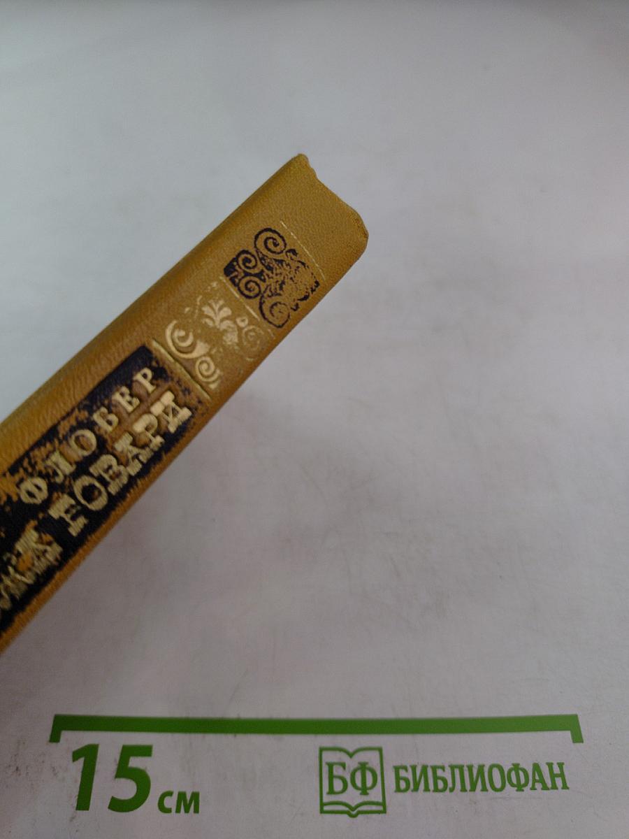 Госпожа Бовари