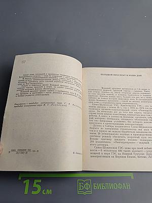 Большой проспект Васильевского острова