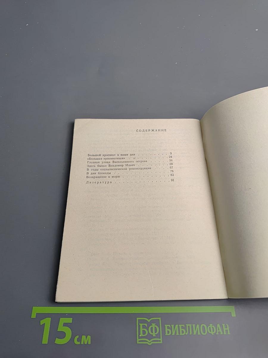 Большой проспект Васильевского острова