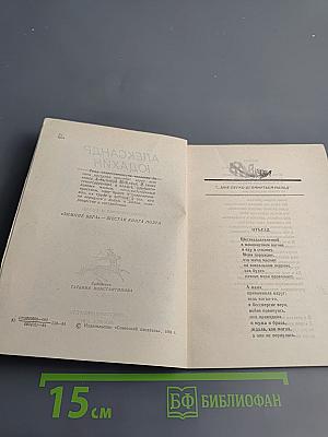 Зимние бега