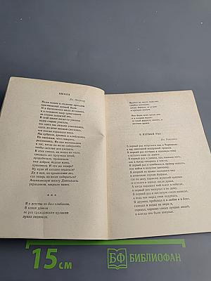 Зимние бега