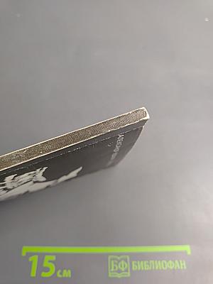 Зимние бега