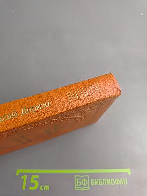 Пока деревья есть на свете