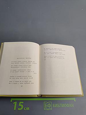 Стихи и песни