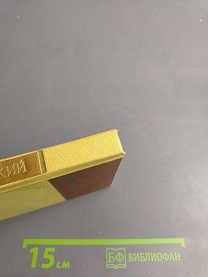 Стихи и песни