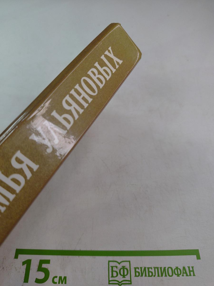 Семья Ульяновых