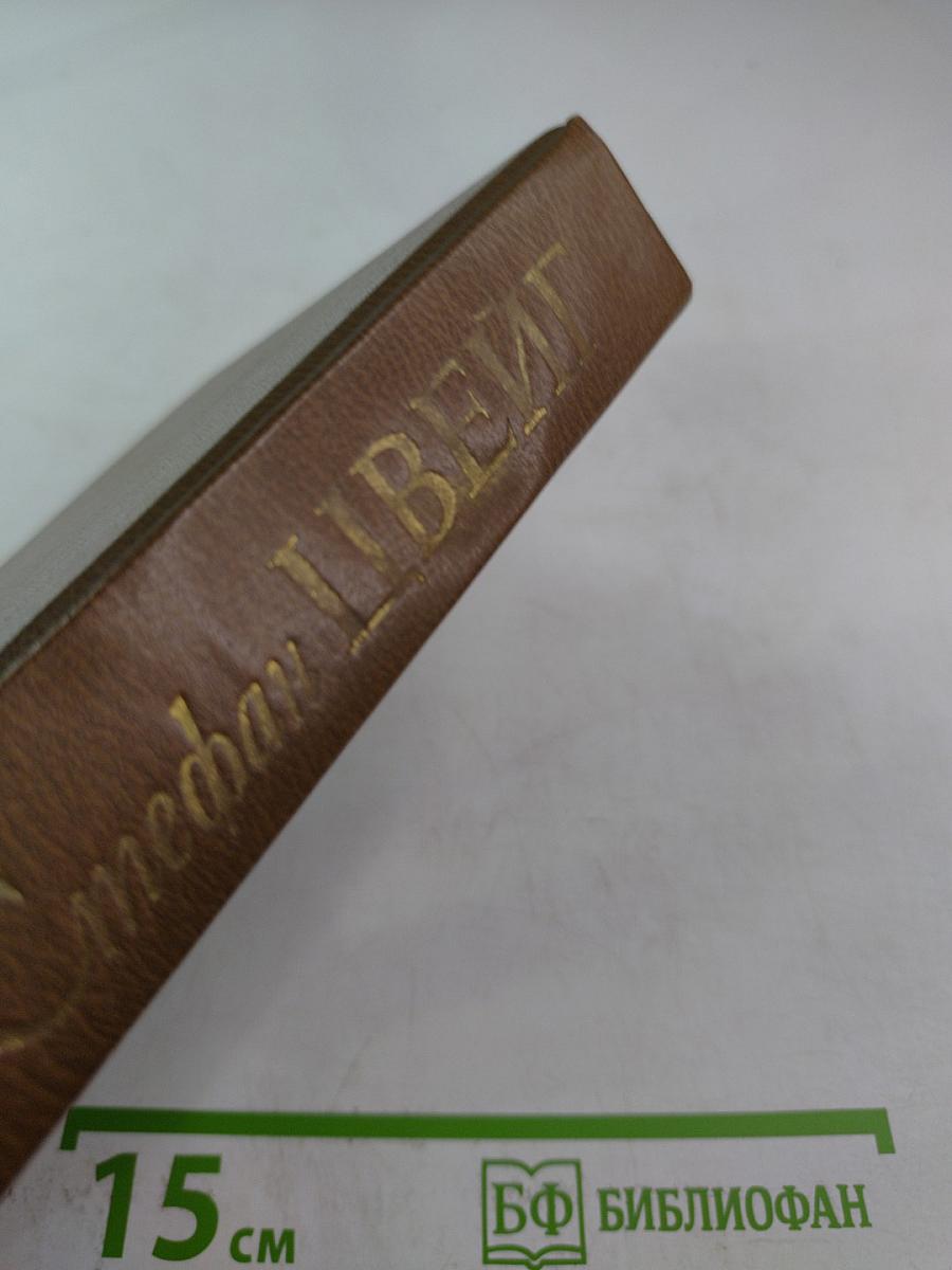 Стефан Цвейг. Мария Стюарт. Жозеф Фуше: Романизированные биографии