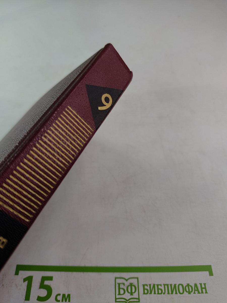 Корни и крона