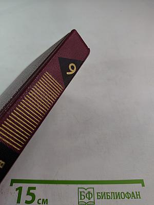 Корни и крона